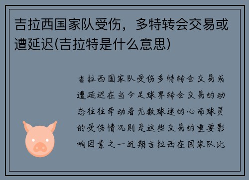 吉拉西国家队受伤，多特转会交易或遭延迟(吉拉特是什么意思)
