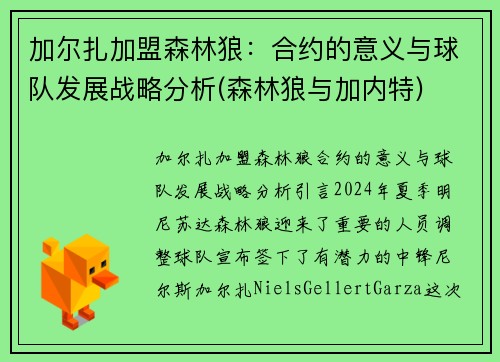 加尔扎加盟森林狼：合约的意义与球队发展战略分析(森林狼与加内特)