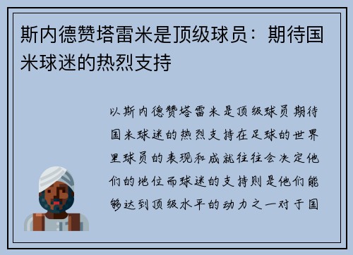 斯内德赞塔雷米是顶级球员：期待国米球迷的热烈支持